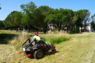 Girona adjudica per 1 MEUR el manteniment de la jardineria per dos anys