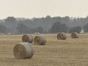 Una tempesta deixa 123 litres per metre quadrat en tres hores a Anglès