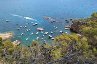 Roben les boies de les cales del Crit, el Vedell i Font Morisca de Mont-ras per tercer cop
