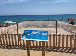 Una tortuga pon 80 ous a la platja Gran de Platja d’Aro