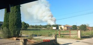 Un incendi forestal prop de Palamós mobilitza un ampli dispositiu dels Bombers