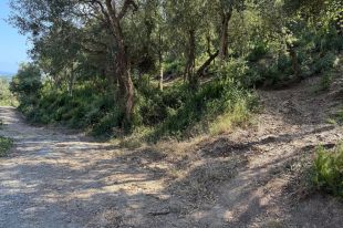 Els propietaris forestals de les Gavarres s'organitzen per fer franges protecció davant incendis