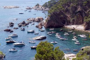 Denuncien l'ocupació ''abusiva'' a les cales de Mont-Ras en faltar les boies robades