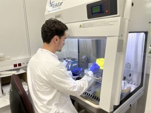 Girona ja fa proves per detectar malalties com el dengue, el zika, el chikungunya i la febre del Nil