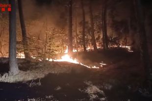 Un incendi amb tres focus crema entre Amer i Susqueda en una zona de difícil accés