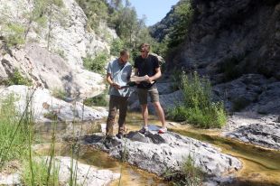Investiguen els peixos supervivents en rius que s'assequen a la demarcació de Girona