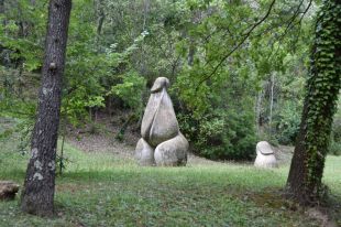 El Bosc de Can Ginebreda celebra 50 anys amb una jornada especial