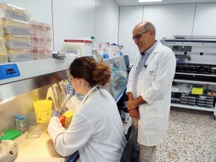 El 9,5% de morts sobtades en menors de 35 anys és degut a causes hereditàries