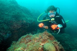 Retiren centenars de fils de pescar del fons marí de Begur i l’Escala
