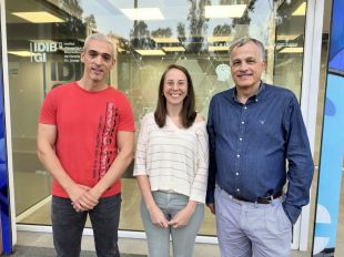 Identifiquen un vincle entre la microbiota intestinal i la capacitat d’atenció en persones obeses