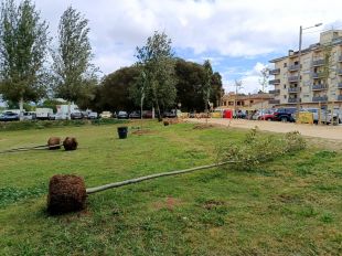 L'Ajuntament de Salt planta 163 nous arbres al parc Monar