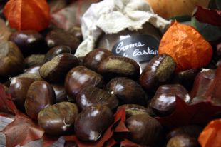 Rècord històric de parades de castanyes a Girona coincidint amb les Fires de Sant Narcís