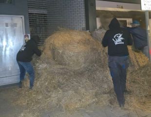 El Gremi de la Pagesia protesta a Banyoles, Figueres i Girona contra la gestió de la DNC