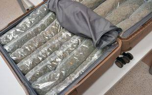 Enxampen l'usuari d'un taxi a la Jonquera que duia sis quilos de marihuana a sobre