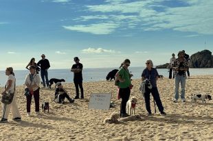 Blanes destina un espai per a gossos a la Platja del Centre entre protestes de veïns