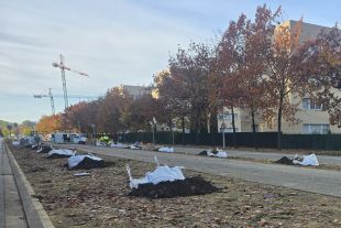 Girona inicia l’última fase de reforma del passeig central a l’avinguda de Lluís Pericot