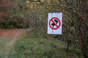 Les Llosses fa un balanç positiu del dispositiu per regular l'accés de boletaires