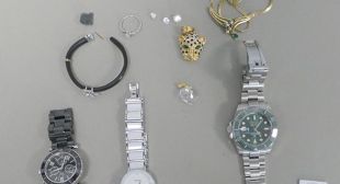 Quatre detinguts a Llançà que portaven eines per cometre robatoris i uns 2.000 euros en efectiu