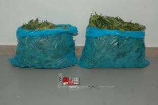 Detinguts quatre joves a Palamós que duien 4 quilos i mig de marihuana dins un cotxe