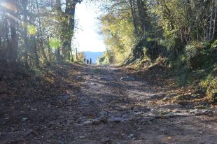 Olot finalitza la restauració del camí del Bac de la Pradella