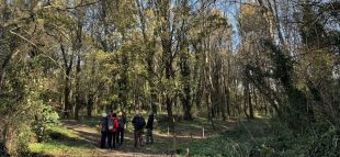 500 persones participen en la recuperació de la roureda de Mas Tarut d'Olot
