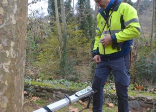 Olot controla una cinquantena d'arbres urbans per prevenir caigudes d'exemplars o branques