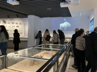 Prop de 3.500 persones visiten el nou Museu Arqueològic Comarcal de Banyoles aquest Nadal