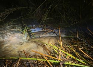 Localitzen el vehicle de l'home arrossegat per la riera a Palau-sator