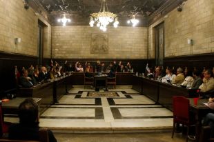 El ple de Girona reclama a Govern i Estat ''assumir responsabilitats'' per Rodalies