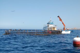 La UdG participa en un projecte internacional per impulsar la pesca sostenible al Mediterrani