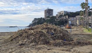 Calonge i Sant Antoni inicia la neteja i condicionament de les platges després del temporal
