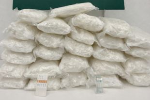 Un detingut a la Jonquera que duia 26 kg de metamfetamina dins el bus camí de França