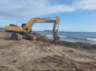 Torroella de Montgrí inicia la neteja de les platges de cara a Setmana Santa