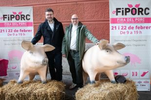 Riudellots convertirà el porc en protagonista amb una nova edició de la Fiporc