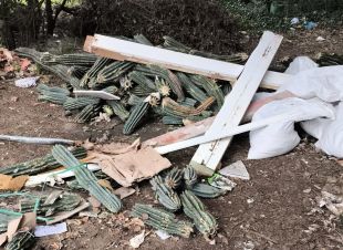 Denunciat un paleta per un abocament il·legal en un bosc de Fornells de la Selva