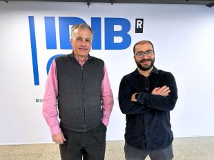 L'IDIBGI co-lidera un estudi que identifica una nova via en la resistència a la insulina