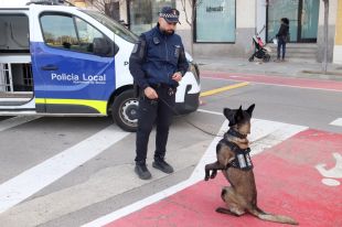La unitat canina de la Policia Local de Blanes posa gairebé 200 denúncies en mig any