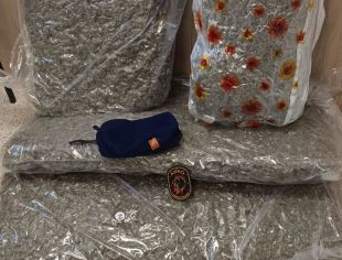 Un detingut amb 33 kg de marihuana al cotxe en una àrea de servei a la Jonquera