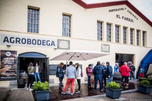 El Vívid 2026 aposta per un enoturisme actiu i saludable amb setanta activitats