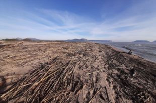 Torroella de Montgrí torna a exigir suport per netejar platges de restes provinents del Ter
