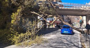 Girona critica l'absència d’un ES-Alert previ a les fortes ventades