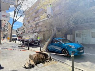 El temporal de vent deixa més de 1.300 trucades al 112