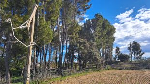 Un arbre cau sobre una línia d'alta tensió i deixa 2.900 clients sense llum al Ripollès