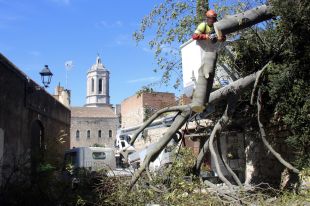 Girona treballa per recuperar ''la normalitat'' després que la ventada tombés una setantena d'arbres