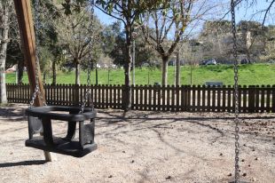 Veïns del barri de Vista Alegre de Girona denuncien l'enverinament de quatre gossos