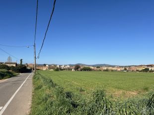 L’ACA finançarà una bassa de laminació per reduir el risc d’inundacions a la Bisbal