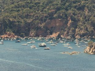 SOS Costa Brava celebra el decret de protecció de la posidònia però vol mesures per fer-lo efectiu