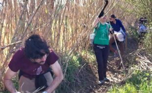 Salt arrenca els actes previs de la Fira de la Flor amb la neteja dels recs