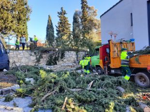 El vent talla mitja dotzena de carreteres i provoca incidències a Girona