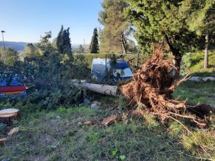 La ventada frega els 170 km/h a Portbou a primera hora de diumenge